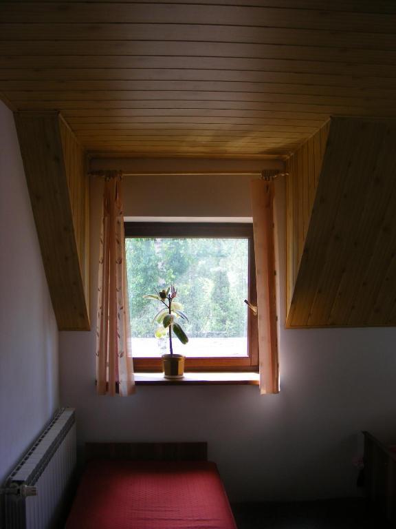 Sosnowy Dworek Apartment Jozefow  Ngoại thất bức ảnh