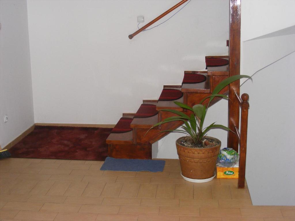 Sosnowy Dworek Apartment Jozefow  Ngoại thất bức ảnh